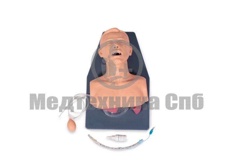 изображение: Симулятор для эндотрахеальной интубации