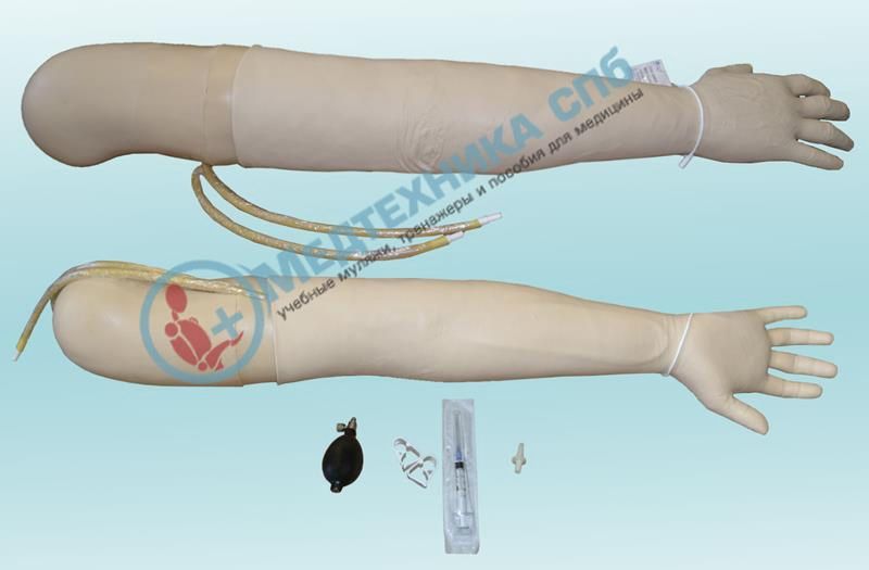 изображение: Тренажер для отработки навыков пункции артерий (рука от предплечья до кисти)