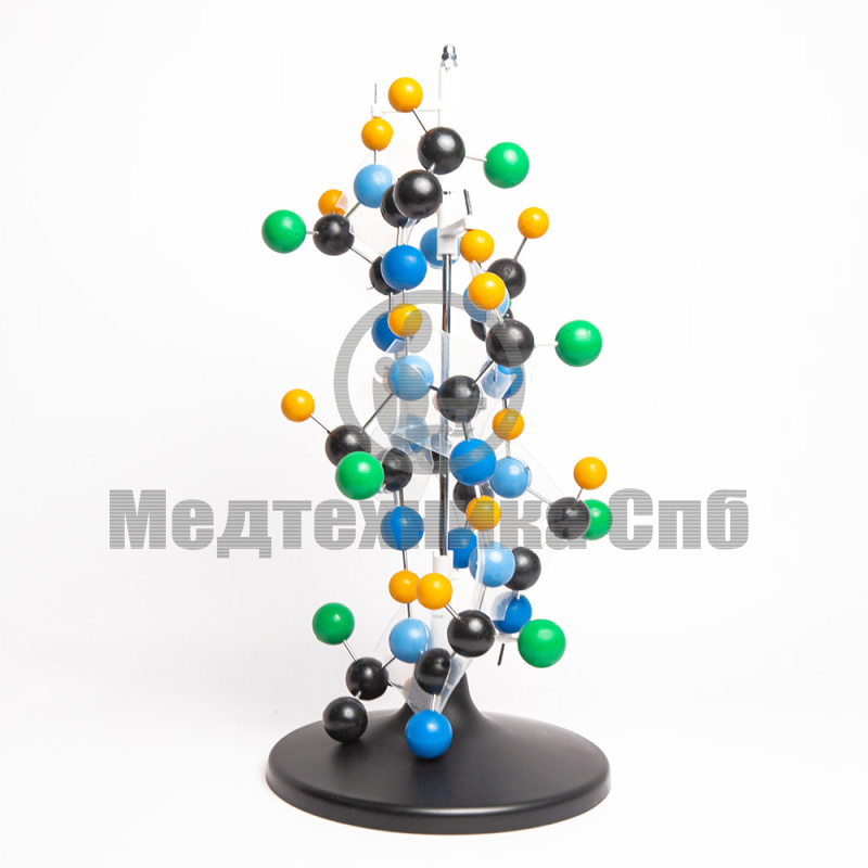 Модель структуры протеина