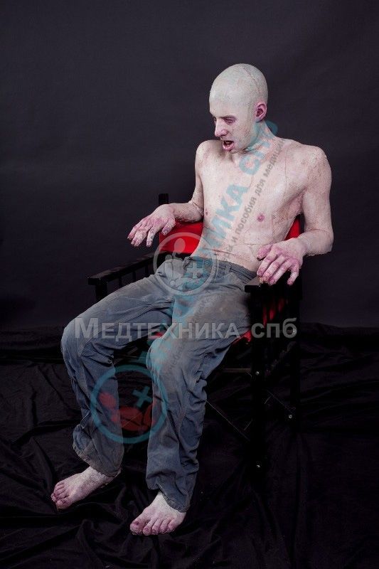 изображение: Фантом-манекен Бадди сидячий