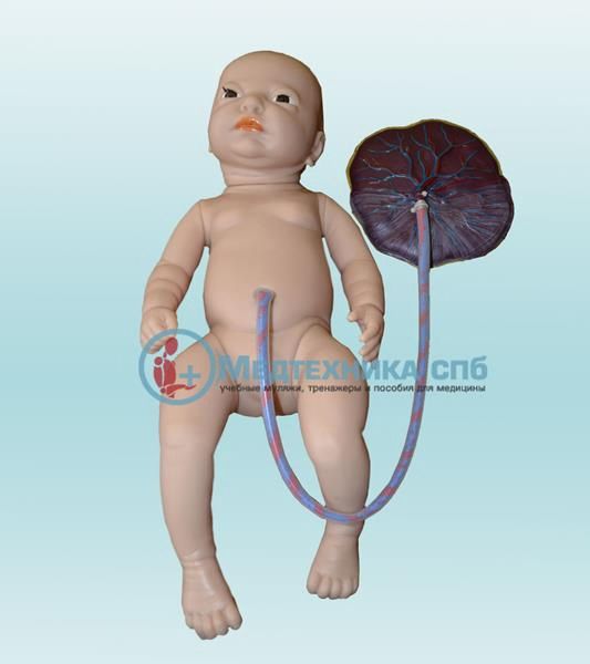 изображение: Симулятор новорожденного для ухода за пуповиной