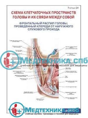 Дальневосточные хитрости ввоза «японок»: доступно и легальнобыло | Рули Газуй | Дзен