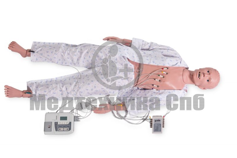 ЭДИК Манекен-симулятор для отработки навыков снятия ЭКГ с груди и со спины