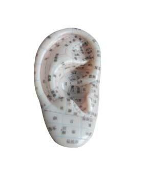 изображение: Акупунктурная модель уха (13см)
