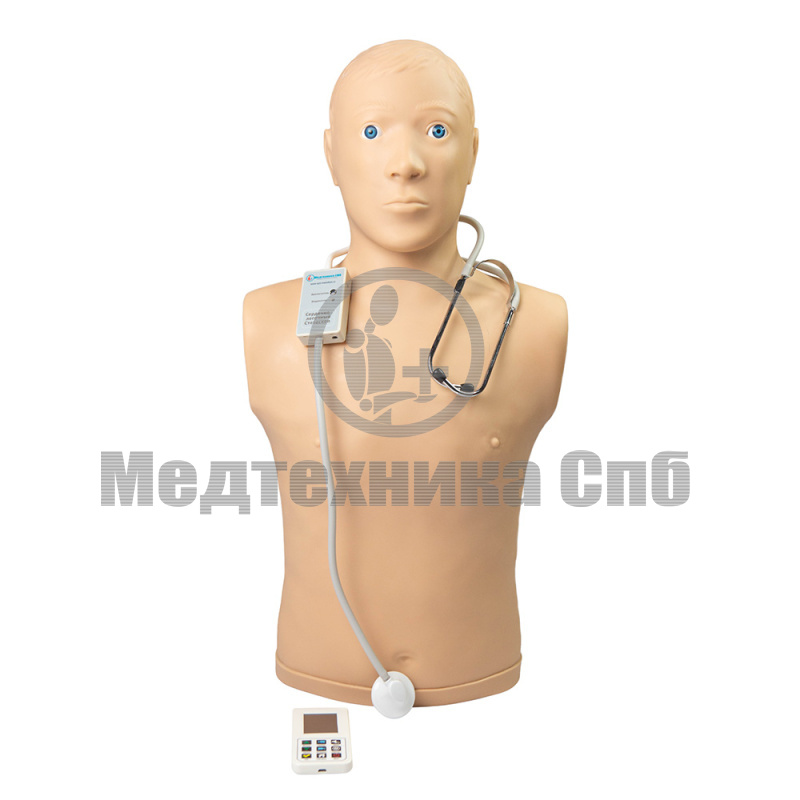 ФОМА Манекен для отработки навыков аускультации сердца, лёгких и кишечника.