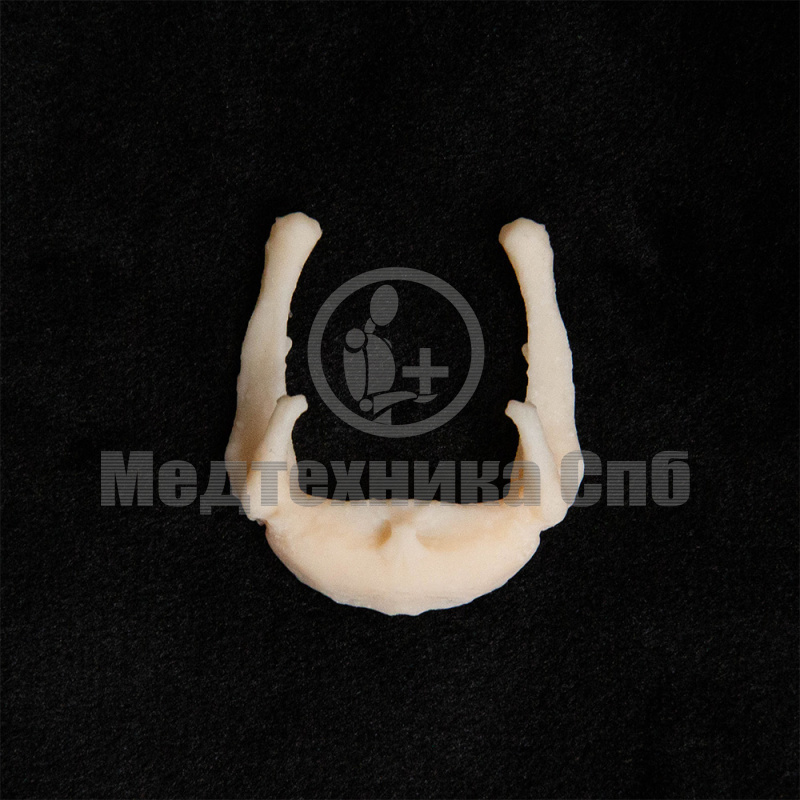 KS014 Подъязычная кость