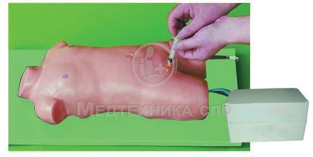 изображение: Тренажёр пункции бедренной вены и артерии ребенка