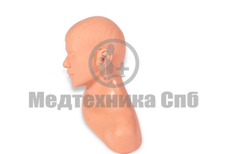 изображение: Тренажер для обследования уха
