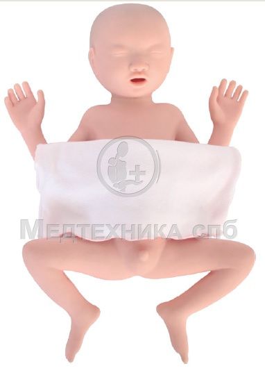 Манекен недоношенного новорожденного (24 недели)
