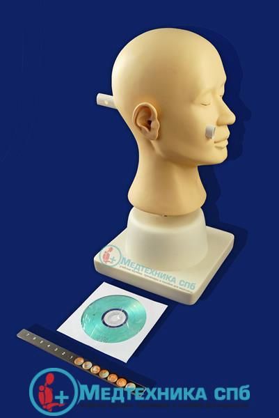 Тренажер для диагностики патологий уха