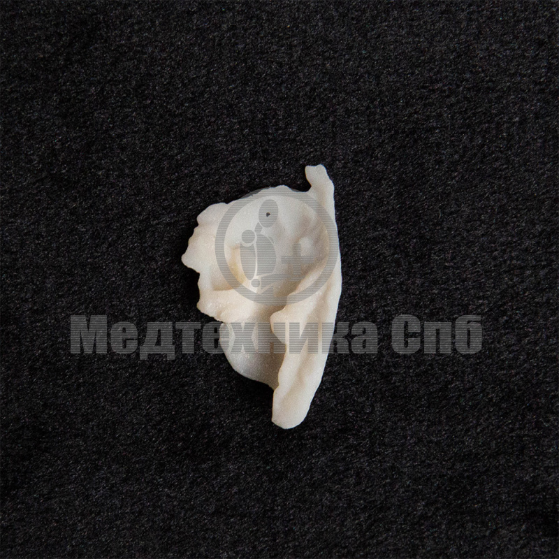 KS017 Слезная кость